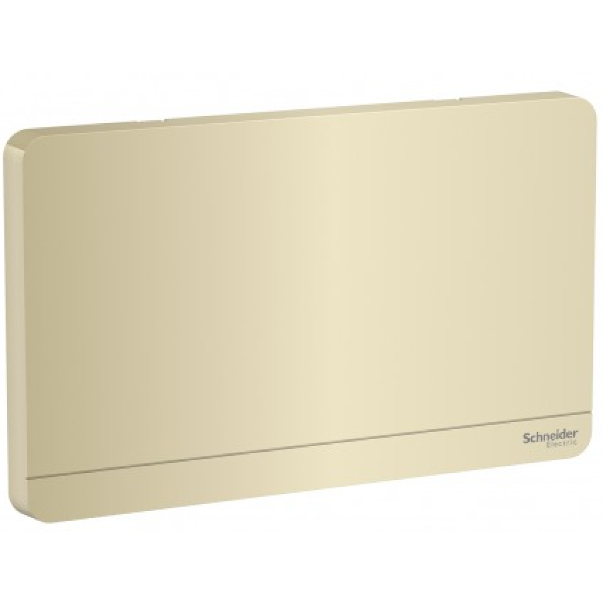 Schneider Electric 施耐德電氣 AvatarOn 兩位空白掣面 (沉醉金) (E8330TX_WG_C5)